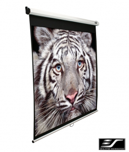 Elite Screen 99" (1:1) M99NWS1 Projektor Vászon