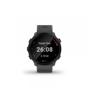 Garmin Forerunner 55 futóóra Monterra szürke (GG010-02562-13)