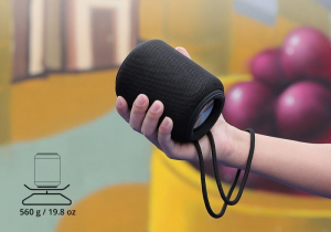 Tronsmart T6 Mini Bluetooth hangszóró fekete (048103)