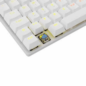 White Shark GK-2106W/BL-HU COMMANDOS Gaming billentyűzet Blue Switch fehér