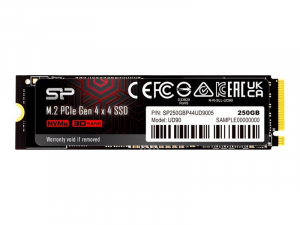 250GB Silicon Power UD90 M.2 SSD meghajt&oacute; (SP250GBP44UD9005)