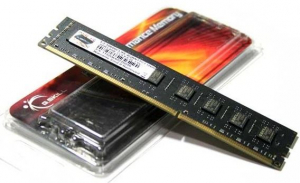 4 GB 1600MHz DDR3 RAM G. Skill (F3-1600C11S-4GNS)