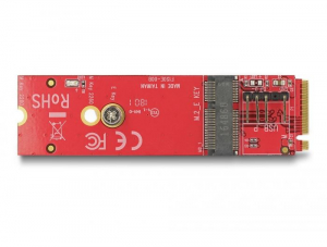 DeLock M.2 M-Key -> E-Key adapterkártya (63343)