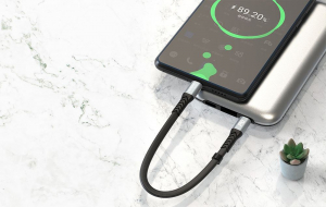 DUDAO L10C USB-C - USB-C kábel 0.23m 100W PD fekete (6973687243869)