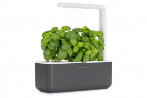 Click and Grow Smart Garden 3 3db bazsalikom kapszulával szürke (SGS8UNI)