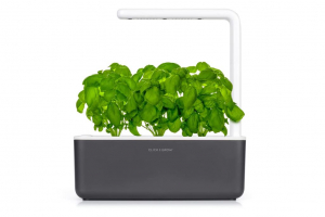 Click and Grow Smart Garden 3 3db bazsalikom kapszulával szürke (SGS8UNI)