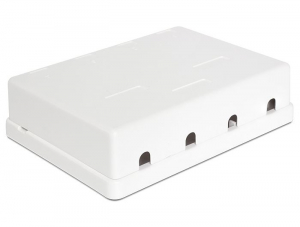 DeLock Keystone falon k&iacute;v&uuml;li doboz (86208)