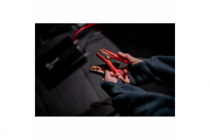 Newell inverter 24V/230V 1000W (NL3381)