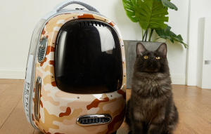 PetKit macska hordozó hátizsák barna (Breezy 2-DC)