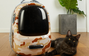 PetKit macska hordozó hátizsák barna (Breezy 2-DC)