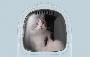 PetKit macska hordozó hátizsák zöld (Breezy 2-G)