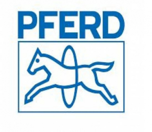 PFERD ESER 12/25 szatin&aacute;l&oacute; g&eacute;p (83300270)