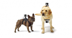 GoPro Fetch kutyahám (ADOGM-001)