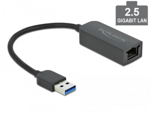 Delock USB-A adapter apa - 2,5 Gigabit LAN kompakt (66646)