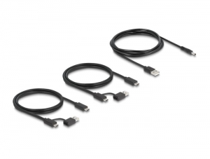 Delock USB 5Gbps kapcsoló 4 db eszköz és 2 db kiszolgáló (88066)