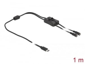 Delock USB Type-C apa – 2 db. DC 5,5 x 2,1 mm anya csatlakozójú kábel 1m (86800)