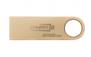 Pen Drive 256GB Kingston DataTraveler SE9 (Gen 3) USB 3.2 Gen 1 (DTSE9G3/256GB)