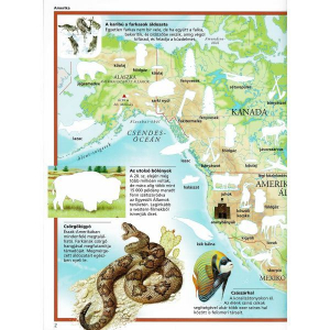 Napraforgó Képes atlasz gyermekeknek - Állatok a világban matricákkal (9789634457114)