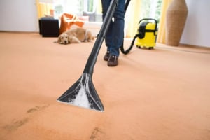 Karcher SE 4001 Plus szőnyeg- és kárpittisztító (1.081-133.0)