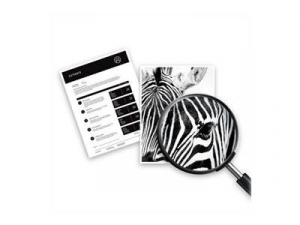 HP 953XL tintapatron, fekete (L0S70AE#301)