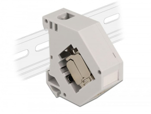 Delock DIN sín adapter Keystone modullal RJ45 anya Cat.6A LSA (86014)