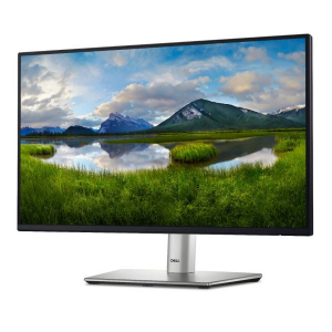 22" DELL P2225H LCD monitor