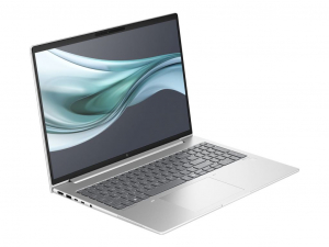 HP EliteBook 660 G11 Laptop szürke (9C0N0EA)
