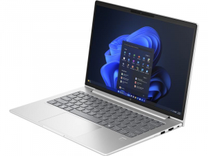 HP EliteBook 645 G11 Laptop Win 11 Pro szürke (9C0M9EA)