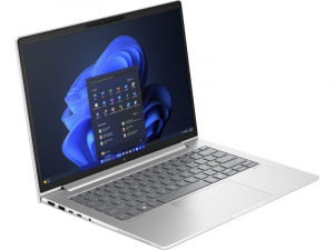 HP EliteBook 645 G11 Laptop Win 11 Pro szürke (9C0M9EA)