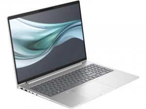 HP EliteBook 660 G11 Laptop Win 11 Pro szürke (9C0N4EA)
