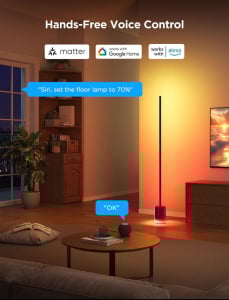 Govee Floor Lamp 2 állólámpa (H607C311)