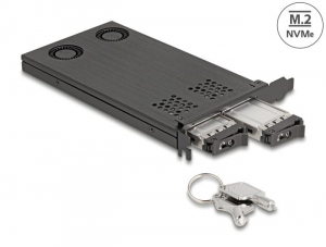 Delock PCI expressz x16 kártya mobil-rack 2 x M.2 NVMe SSD-hez - elágazás (47042)