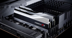 32GB 5600MHz DDR5 RAM G.Skill Trident Z5 (2x16GB) (F5-5600J4040C16GX2-TZ5S)