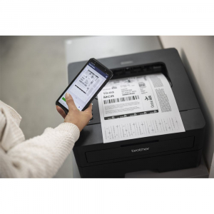 Brother HL-L2460DN l&eacute;zernyomtat&oacute; (HLL2460DNYJ1)