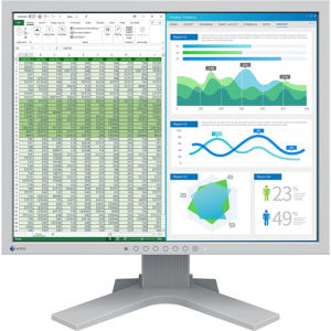 EIZO FlexScan S2134, LED-es monitor - 21,3 - szürke, DisplayPort, DVI-D, VGA (S2134-GY)