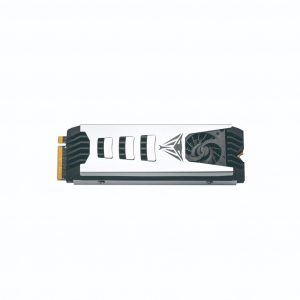500GB Patriot Viper PV553 M.2 NVMe SSD meghajtó (PV553P1TBM28H)