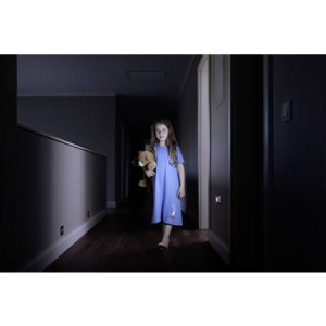 Ledvance LED-es éjszakai fény mozgásérzékelővel,  NIGHTLUX® Hall L (4058075260658)