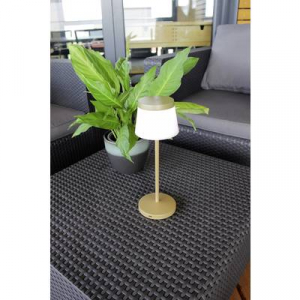 ECO-Light  OLEG (9290-L GO) Akkus asztali lámpa LED 1.5 W Arany