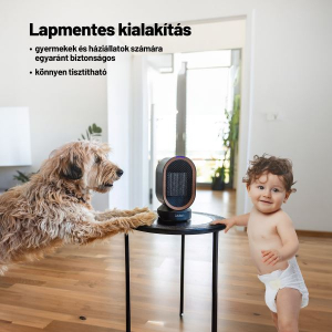 Lauben Desk Fan&Heater 2in1 600BB asztali hősugárzó (LBHFMDFH60BBA)