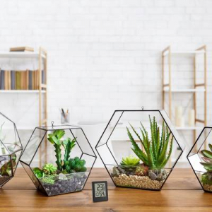 TFA Dostmann  Digitales Thermo-Hygrometer Hőm&eacute;rs&eacute;klet- &eacute;s l&eacute;gnedvess&eacute;g m&eacute;rő Fekete (30.5039.01.03)