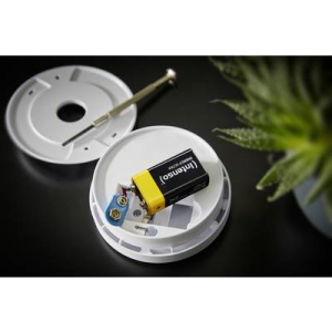 Intenso  (7501451MP) 9V-os elem Alk&aacute;li mang&aacute;n 560 mAh 9 V 10 db