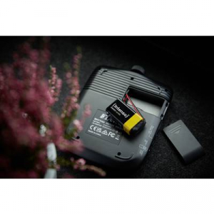 Intenso  (7501451MP) 9V-os elem Alk&aacute;li mang&aacute;n 560 mAh 9 V 10 db