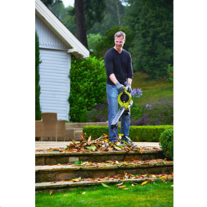 RYOBI RBV36B lombf&uacute;v&oacute; / lombsz&iacute;v&oacute; akkumul&aacute;tor &eacute;s t&ouml;ltő n&eacute;lk&uuml;l