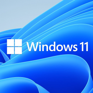 Microsoft Windows 11 Professional 64-bit COA matrica (FQC-10537_COA)