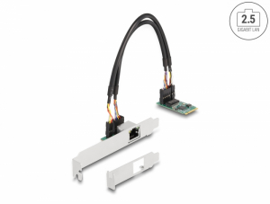 Delock Átalakító, M.2 aljzat B+M nyílással 1 x RJ45 2,5 Gigabit LAN (95272)