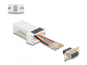 Delock D-Sub 9-tűs anya   RJ45 anya &ouml;sszek&ouml;tő adapter feh&eacute;r (67105)