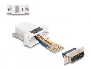 Delock D-Sub 15-tűs dugó   RJ45 anya összekötő adapter fehér (67108)
