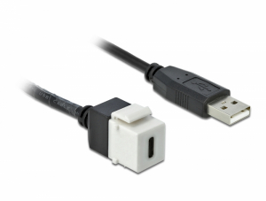 Delock Keystone modul, USB 2.0 C-csatlakoz&oacute;h&uuml;vely > USB 2.0 A-csatlakoz&oacute;dug&oacute;, k&aacute;bellel (86382)