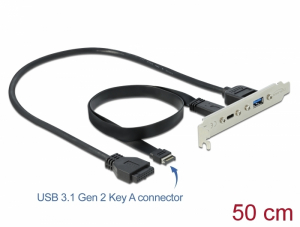 Delock Csatlakozó aljzat 1 x USB Type-C  és 1 x USB A-típusú porttal (89934)