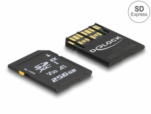 Delock SD Express memória kártya 256 GB (54091)